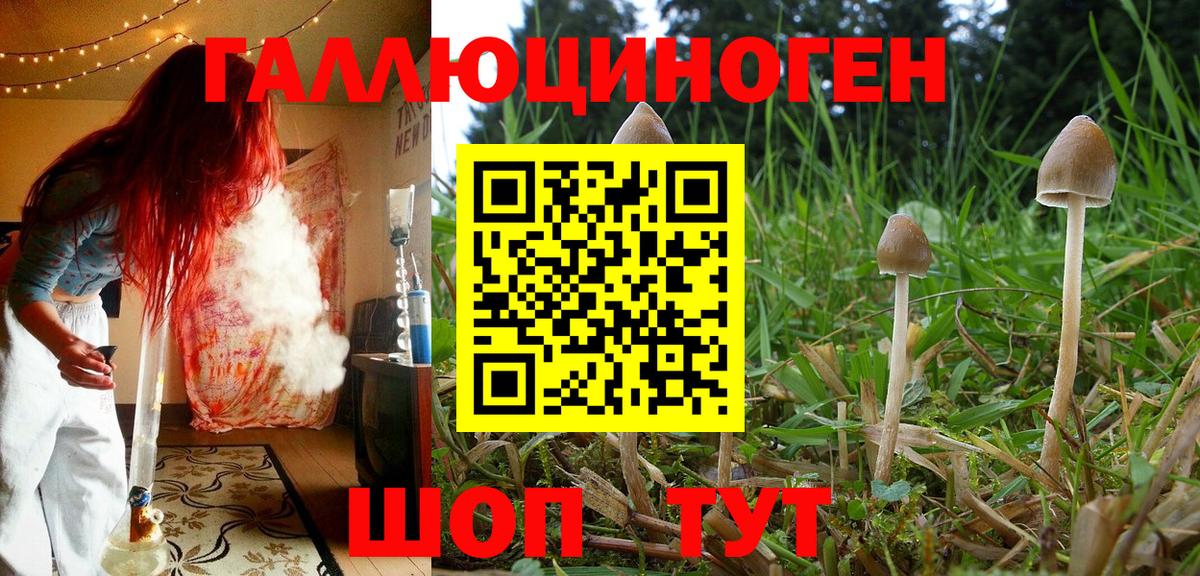 купить  сайты  Псилоцибиновые грибы Cubensis  Вход с VPN  Фролово 