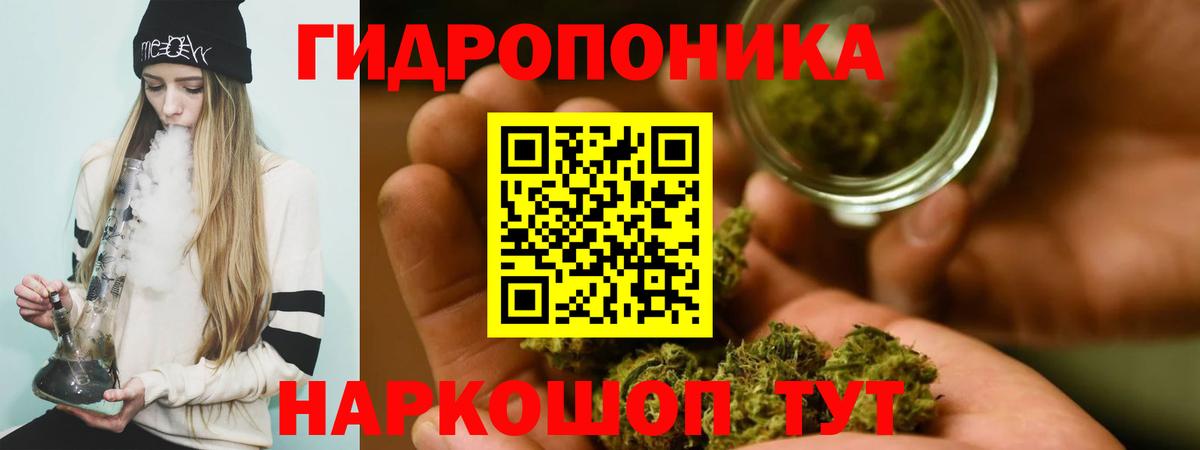 Конопля индика Фролово